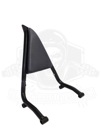 Black Rear Passenger Backrest Sissy Bar Fit For BMW R18 2020-2024